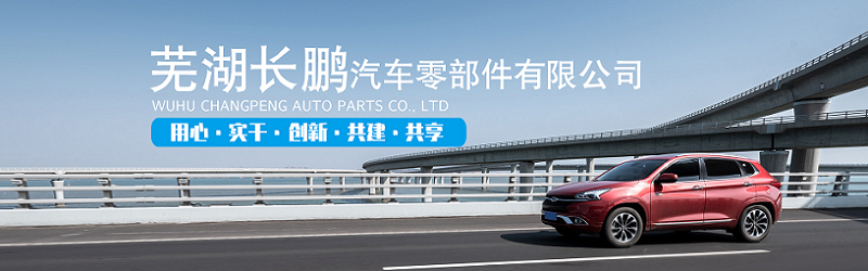 logo蕪湖長(zhǎng)鵬.png